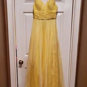 Prom dress/Ball grown
